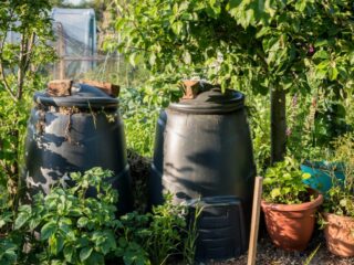 Kompostbehälter Garten