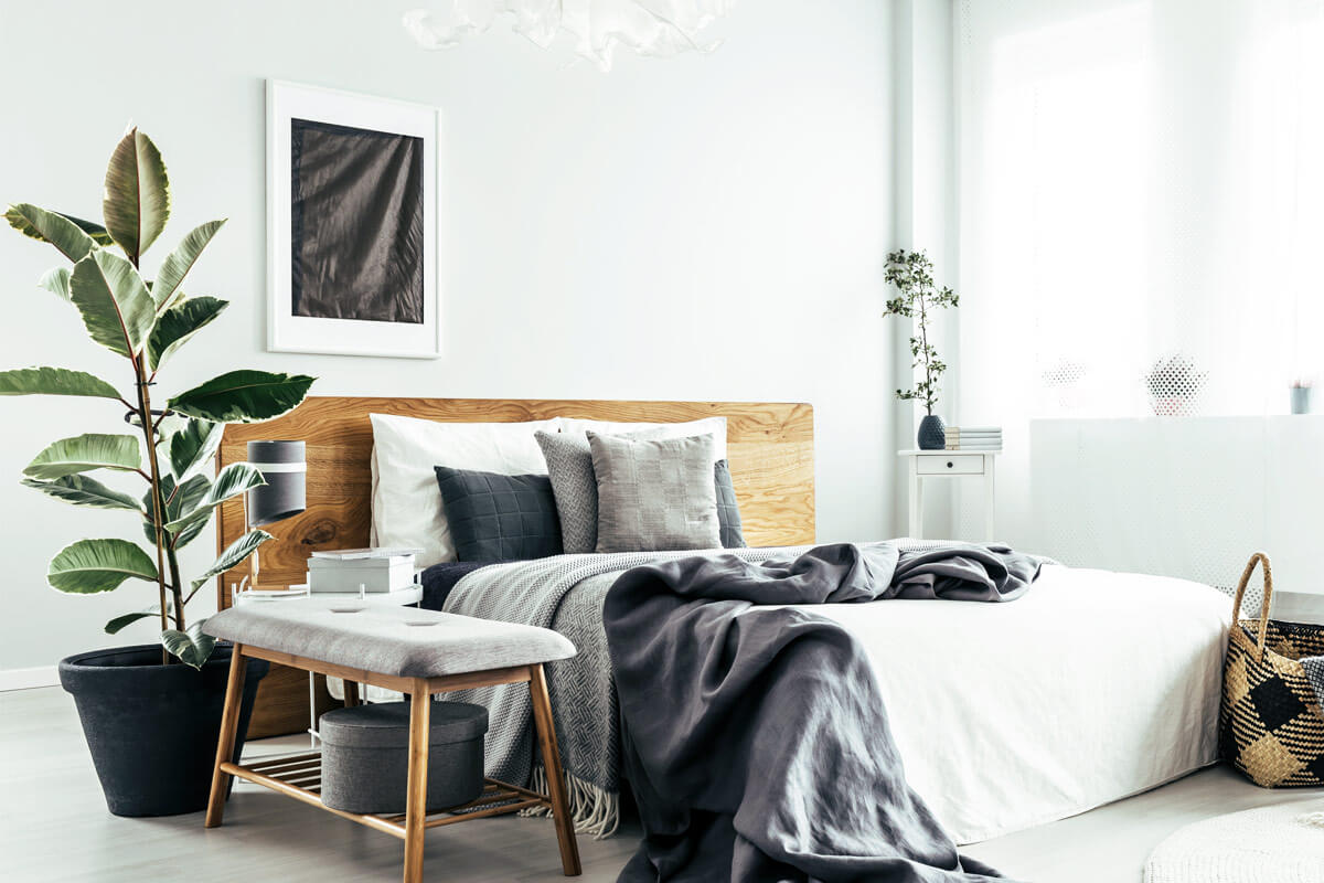Welche Pflanzen fürs Schlafzimmer sind gesund