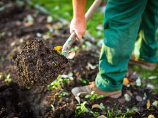 Unterschied zwischen Rasenerde und Blumenerde