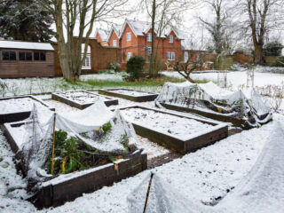 Den Garten winterfest machen
