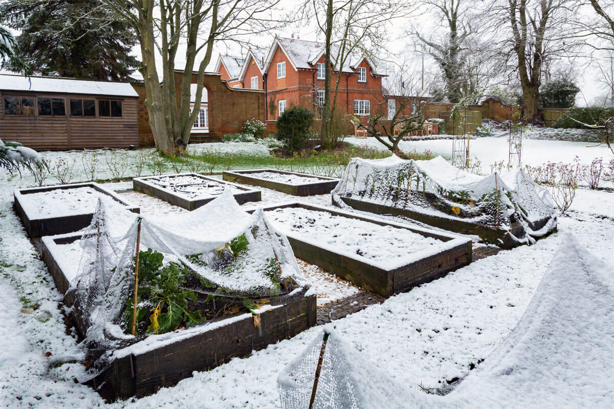 Den Garten winterfest machen