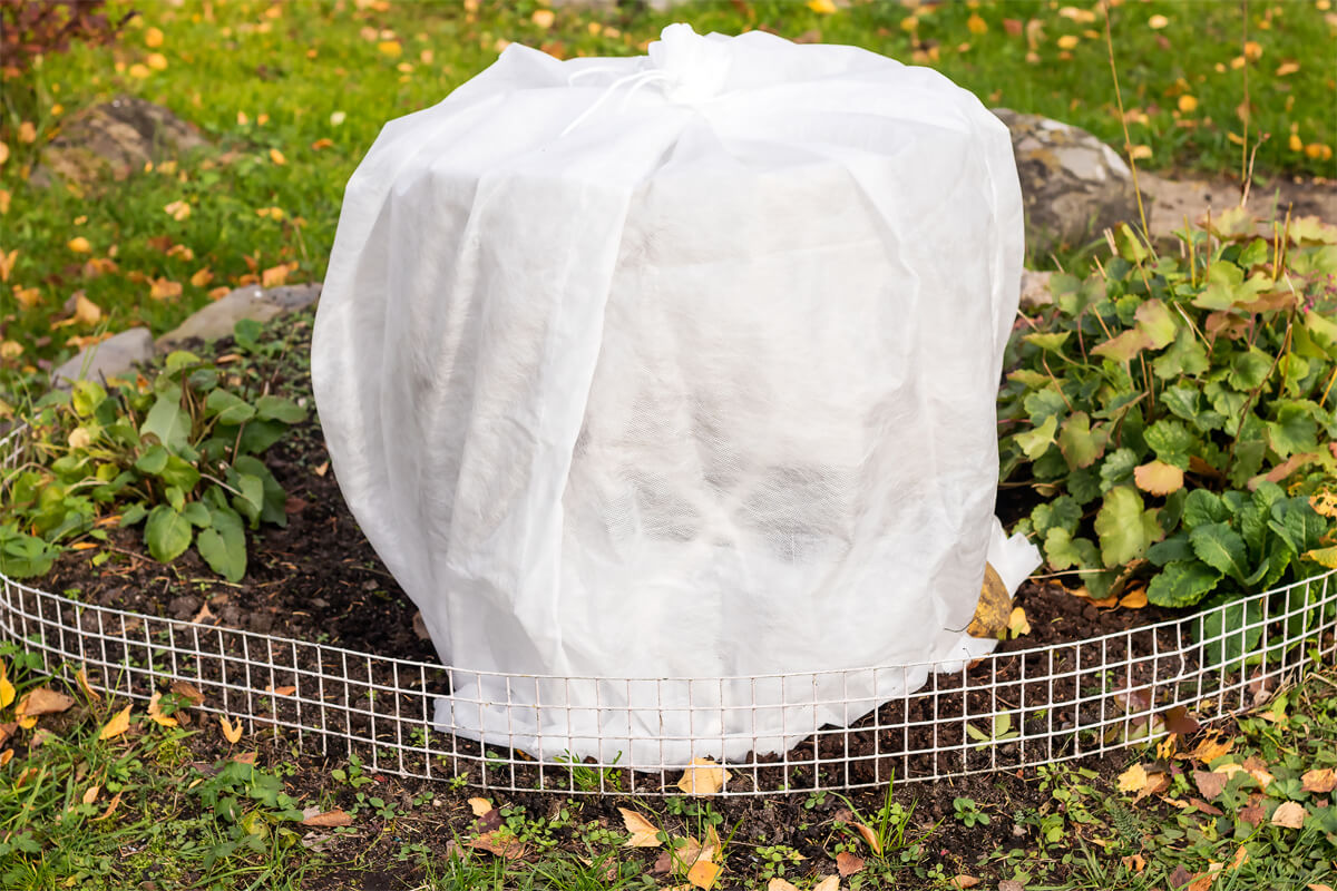 Was ist eine Frostdecke im Garten
