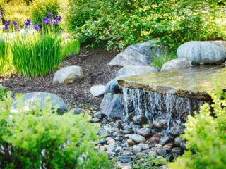 Was ist ein Wassergarten