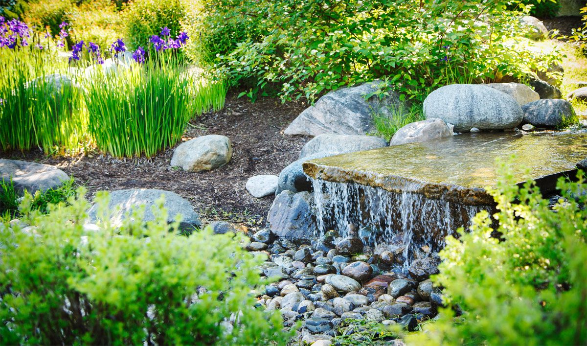 Was ist ein Wassergarten
