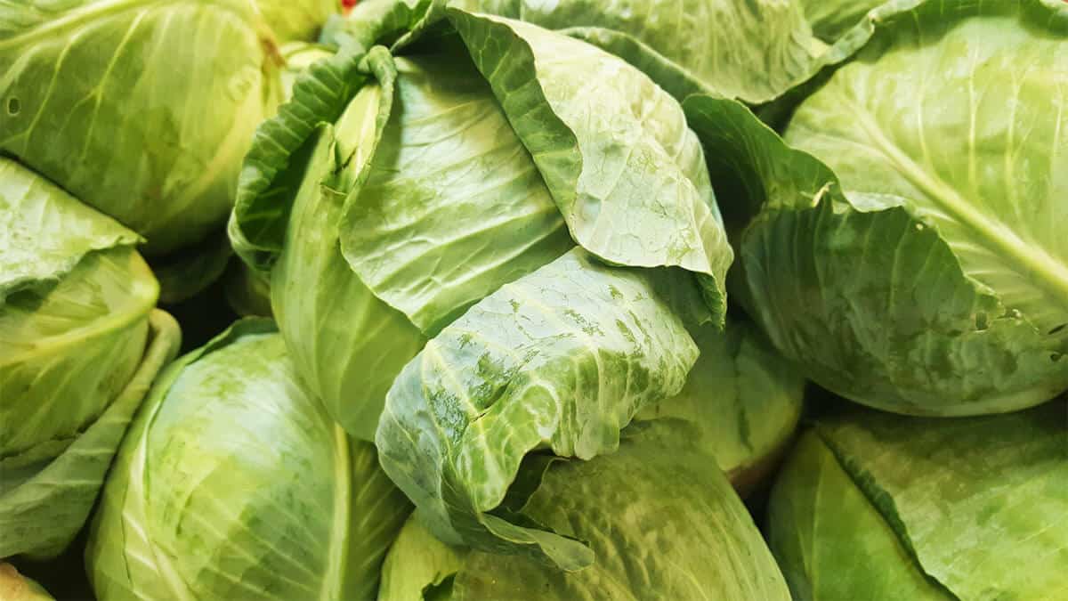 Was ist Kohl