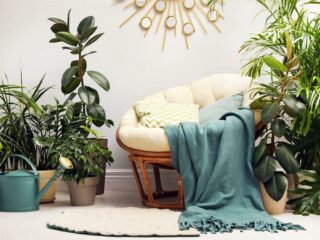 Wie viele Pflanzen pro Zimmer